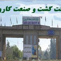 ردپای نور چشمی ها در حیاط خلوت «شرکت های کشت و صنعت کارون»