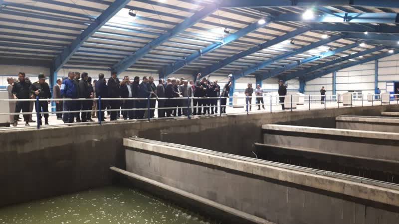 بازگشت تصفیه‌خانه‌های شیبان، گلستان و کوت‌عبدالله به مدار پایدار پس از اجرای اقدامات جهادی