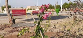 جشنواره گل‌های کاغذی و درختچه های گل دار در اهواز برگزار شد