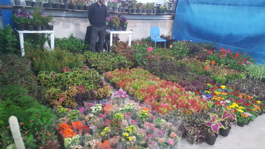 افتتاح دومین نمایشگاه بزرگ گل و گیاه در اهواز