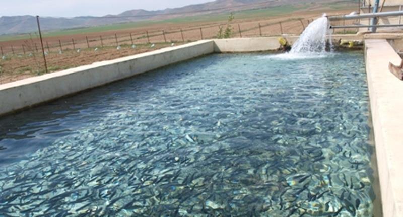 آغاز عملیات اجرایی بزرگترین طرح تعاونی آبزی پروری کشور در خوزستان