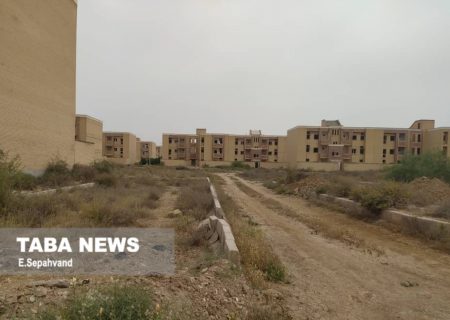 ۱۹میلیارد و ۱۵۰ میلیون تومان برای توسعه اندیکا و لالی اختصاص یافت