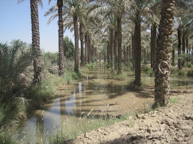 تعیین استان‌هاى تهران، اصفهان، فارس و کرمان به عنوان معین خوزستان