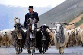 خروج هزاران خانوار عشایری از خوزستان