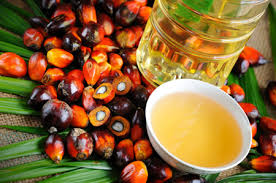 فواید روغن درخت چای