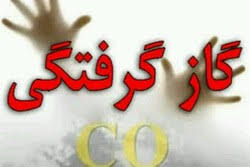 گازگرفتگی ۲۳ دانش آموز دختر