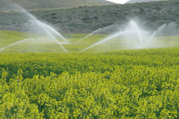 عملیات اجرایی آبیاری تحت فشار دشت لالی آغاز شد