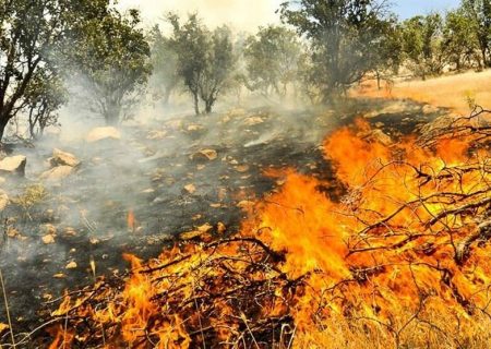 چندین هکتار از مزارع گندم در کوه بدیل بهبهان و حوالی روستاهای قالند و پشکر در آتش سوخت