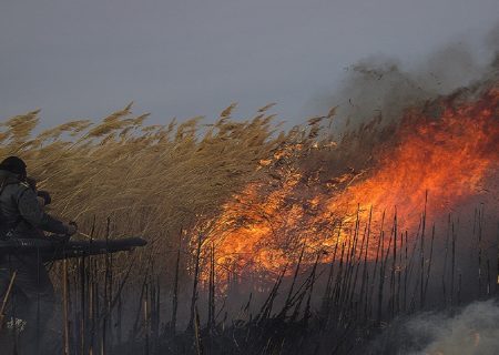 فرماندار شوش:آتش زدن بقایای مزارع پیگرد قضایی به دنبال دارد