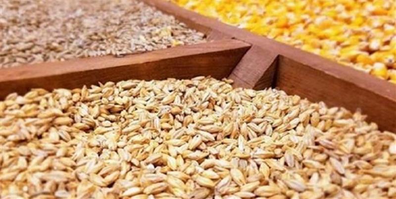 توزیع نهاده های کشاورزی برای کشت پاییزه کماکان ادامه دارد