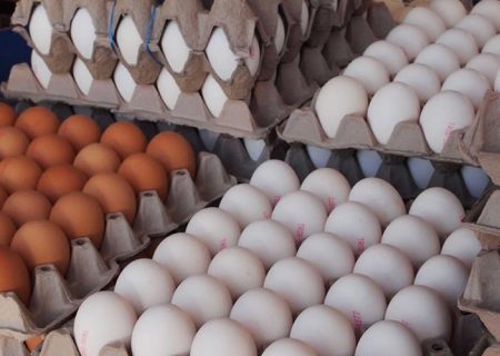 قیمت مصوب مرغ و تخم‌مرغ تا پایان فروردین سال آینده تعیین و اعلام شد