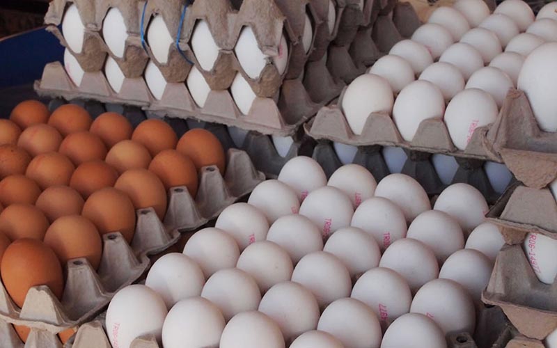 الزام عرضه تخم مرغ بسته‌بندی لغو شد