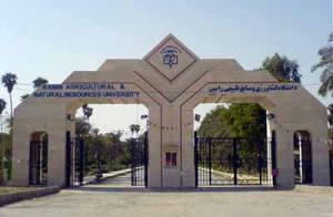 اولین همایش ملی علوم کشاورزی و زیست محیطی در کشور برگزار میشود