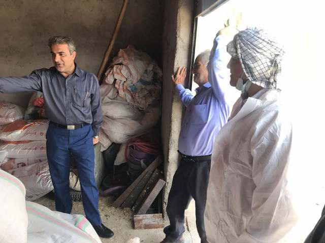نظارت بر دفن بهداشتی تلفات دام و طیور در مناطق سیل زده