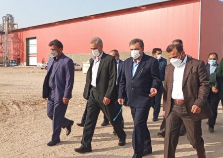 معاون اقتصادی رئیس جمهوری از شهرک صنعتی شماره ۲ اهواز بازدید کرد