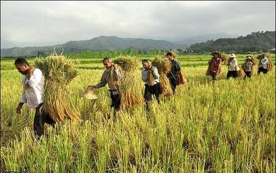 توصیه‌های هواشناسی به کشاورزان خوزستانی