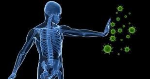 تقویت سیستم ایمنی با توصیه های طب سنتی
