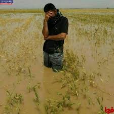 خسارت کشاورزان سیل زده پرداخت شود