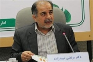 ۲۶ طرح اقتصادی در خوزستان تسهیلات ارزی دریافت کرده اند