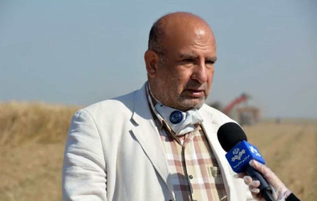 بهبود شرایط کاری بانوان شاغل در صنعت نیشکر