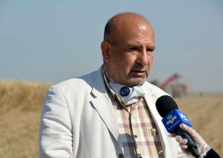 بهبود شرایط کاری بانوان شاغل در صنعت نیشکر