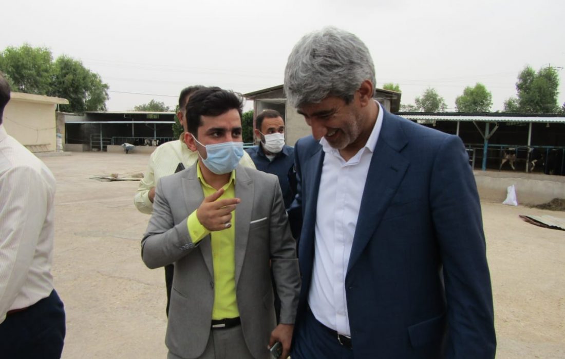 ساماندهی بازار محصولات کشاورزی شمال خوزستان ضروری است