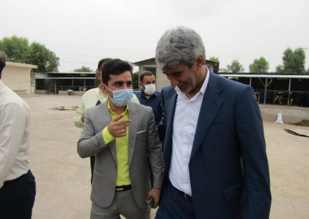ساماندهی بازار محصولات کشاورزی شمال خوزستان ضروری است