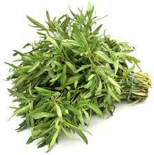برداشت گیاه دارویی مرزه ازسطح اراضی شهرستان لالی