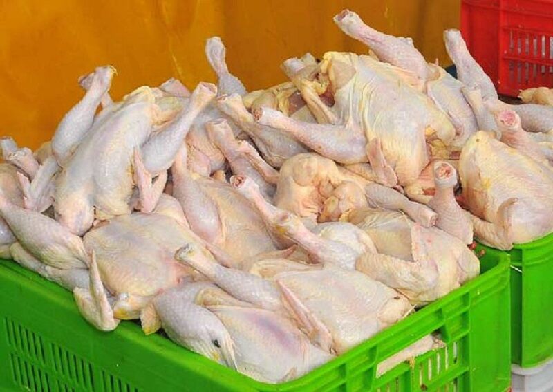 تشکیل چندین پرونده گرانفروشی مرغ در بهبهان