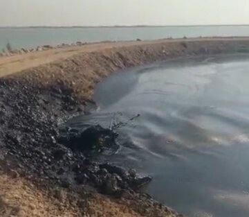 بیش از ۹۰ درصد آلودگی نفتی مارون پاکسازی شد