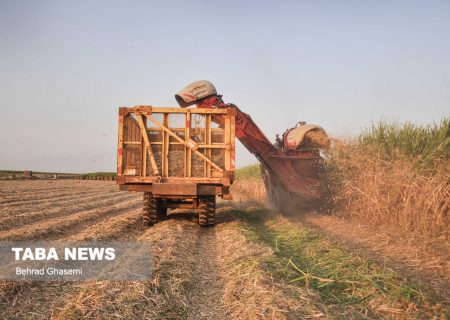 استاندار خوزستان: هفت‌تپه جان دوباره‌ گرفت