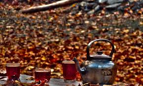 راهکار کاربردی چگونگی با افسردگی پاییزی