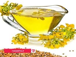بیش از ۲۰۰ هزار تن روغن منتظر تخصیص ارز/ ثبات در بازار روغن