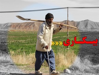 پرداخت بیمه بیکاری به حدود ۱۰۰۰ کشاورز شادگانی پرداخت می شود