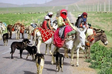واکسیناسیون عشایر خوزستان علیه کرونا متوقف نمی‌شود
