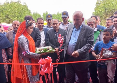 گزارش تصویری تابا از دومین جشنواره شکرستان